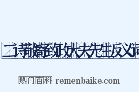 二诗敬寄致政大夫先生反义词是什么意思的图片